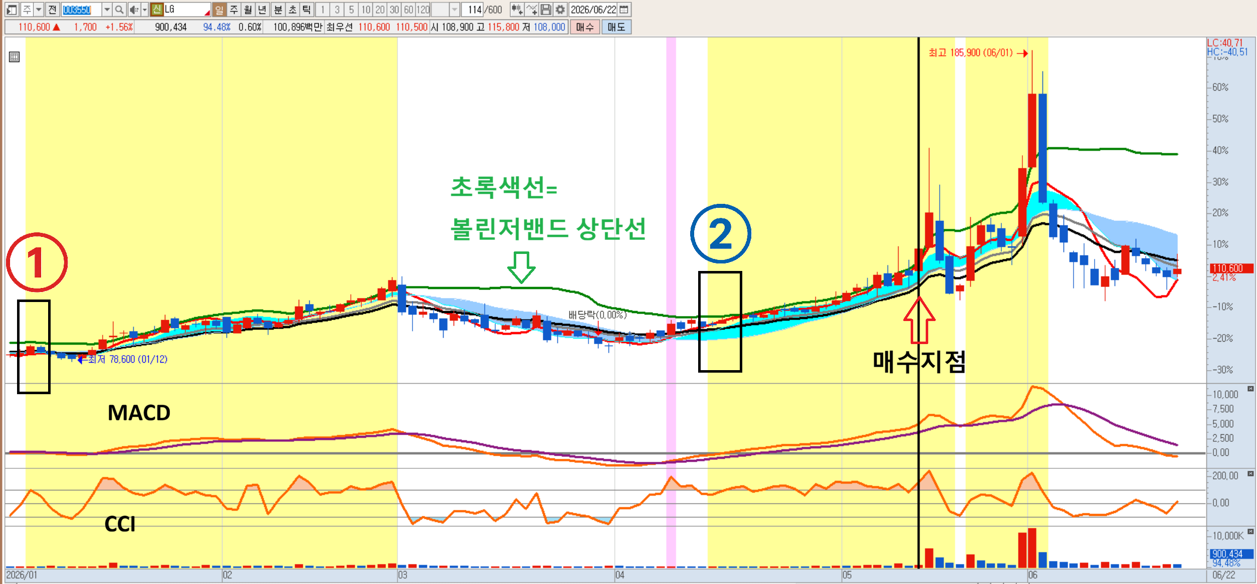 LG 차트 설정식 적용 사례